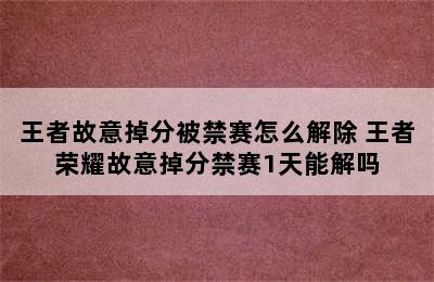 王者故意掉分被禁赛怎么解除 王者荣耀故意掉分禁赛1天能解吗